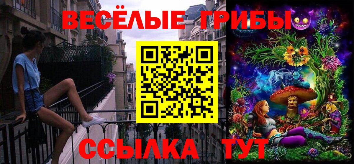 Псилоцибиновые грибы Psilocybine cubensis Губаха